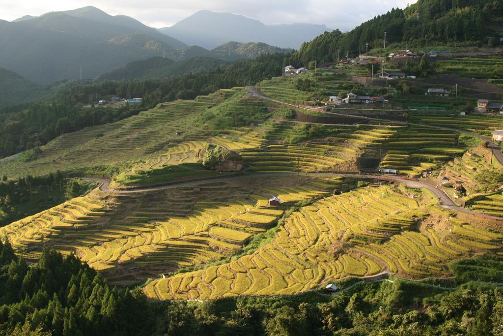 清流庄海豚温泉酒店 熊野市 外观 照片